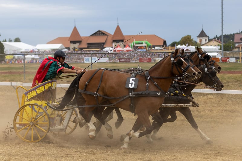 Chariot