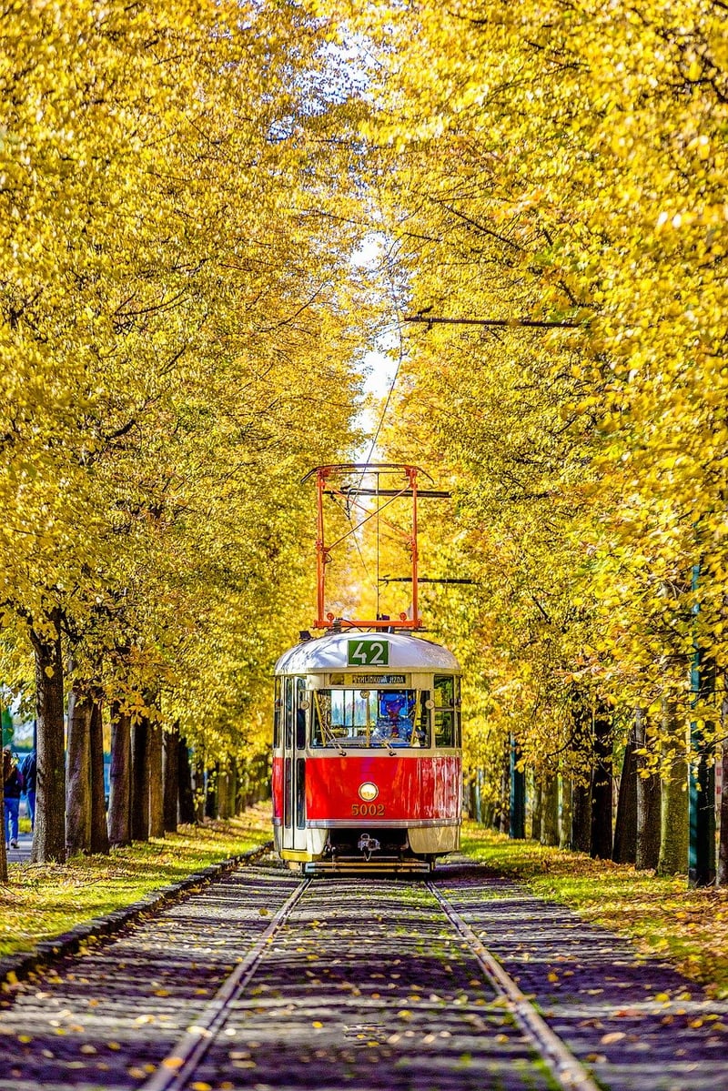 Personal Rapid Transit
